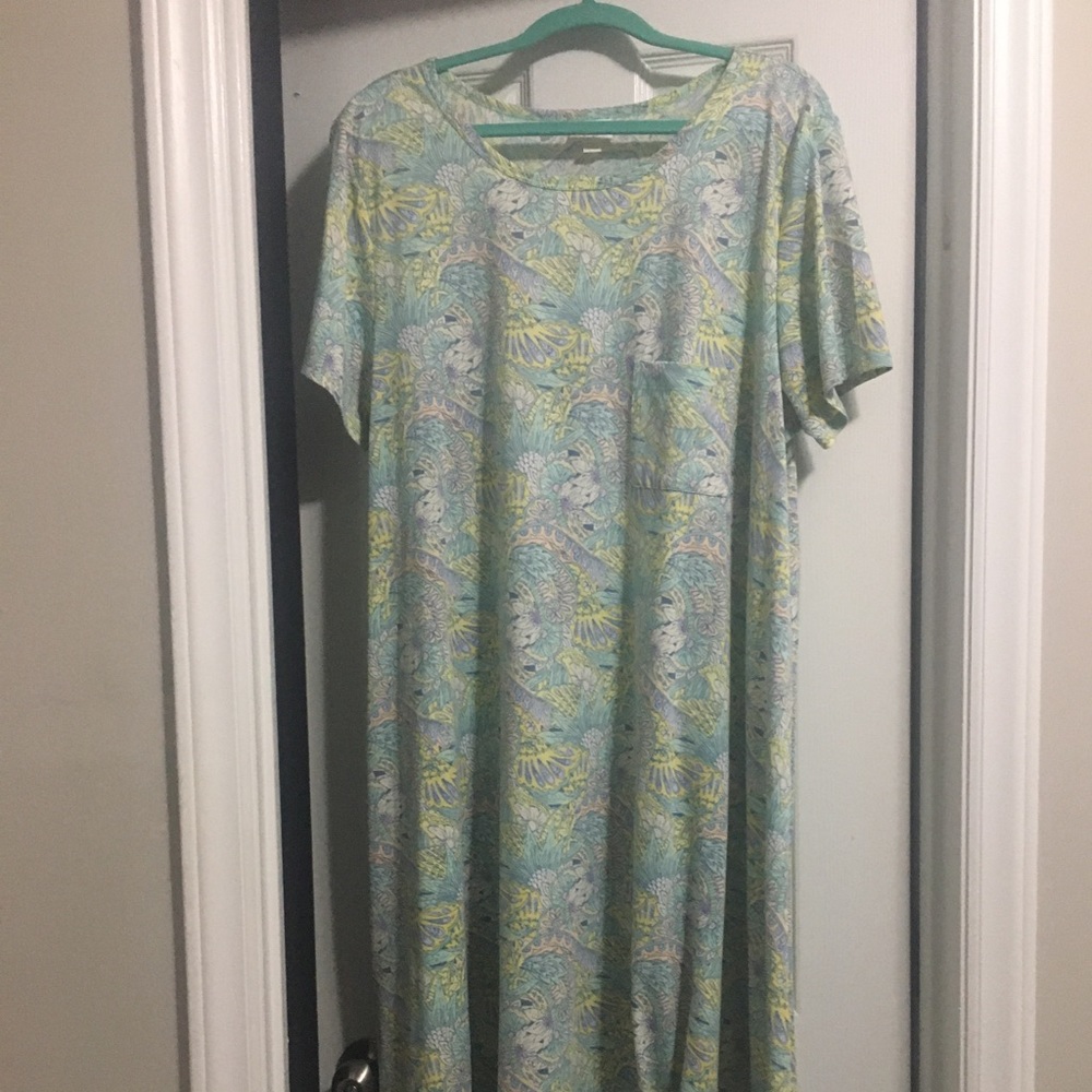 LulaRoe Carly 2x